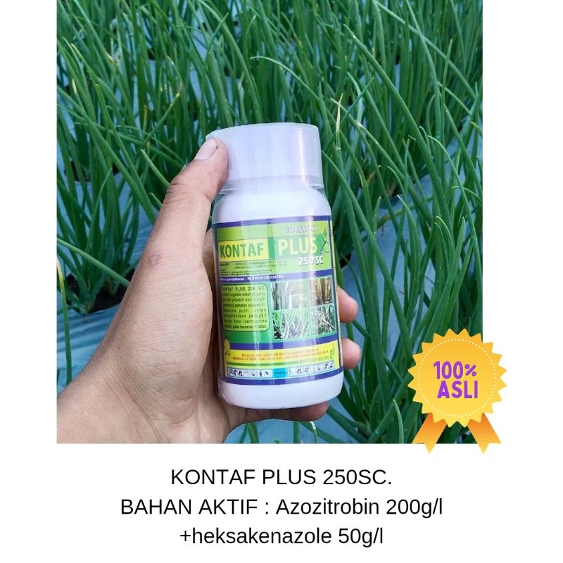 

fungisida kontaf plus 250SC