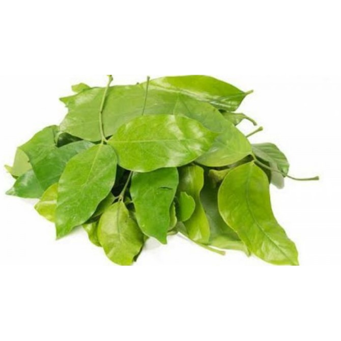 

SayurHD Daun Melinjo 100gr