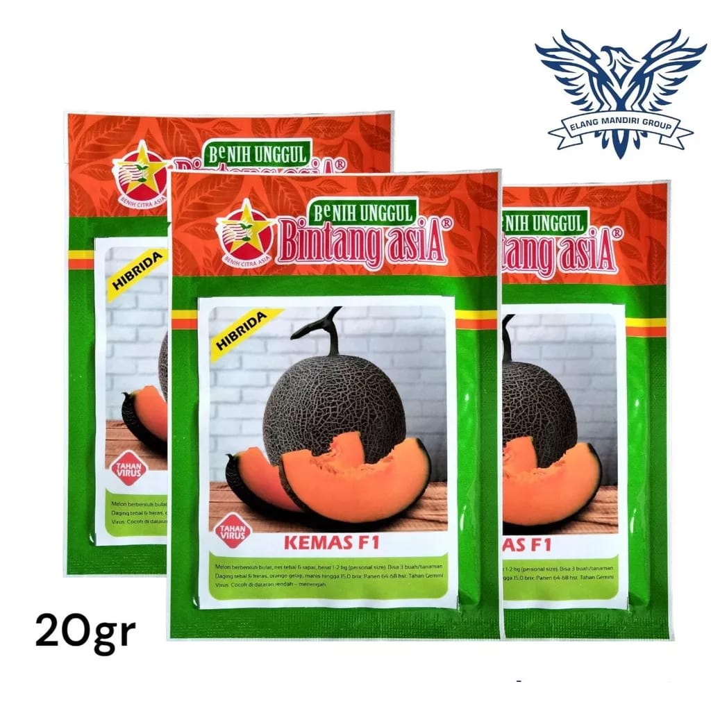 Benih Melon KEMAS F1 20gr Bibit Tahan Virus Gemini Rock Melon Daging Orange Unggul Bintang Asia