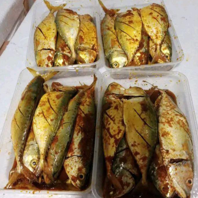 

Ikan Kembung Bumbu Kuning Marinasi Frozen Tinggal Goreng