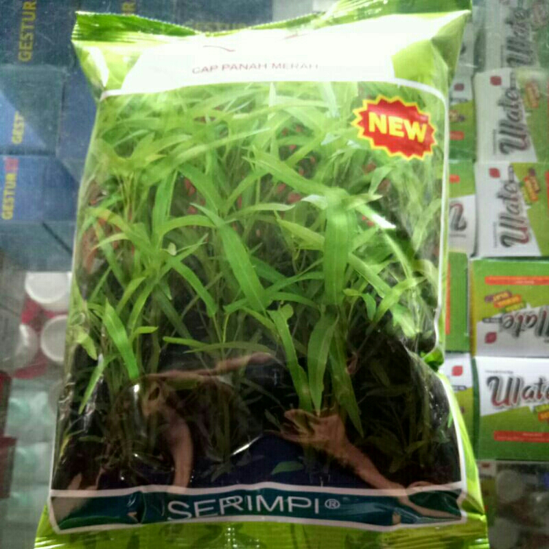 bibit kangkung serimpi 1kg