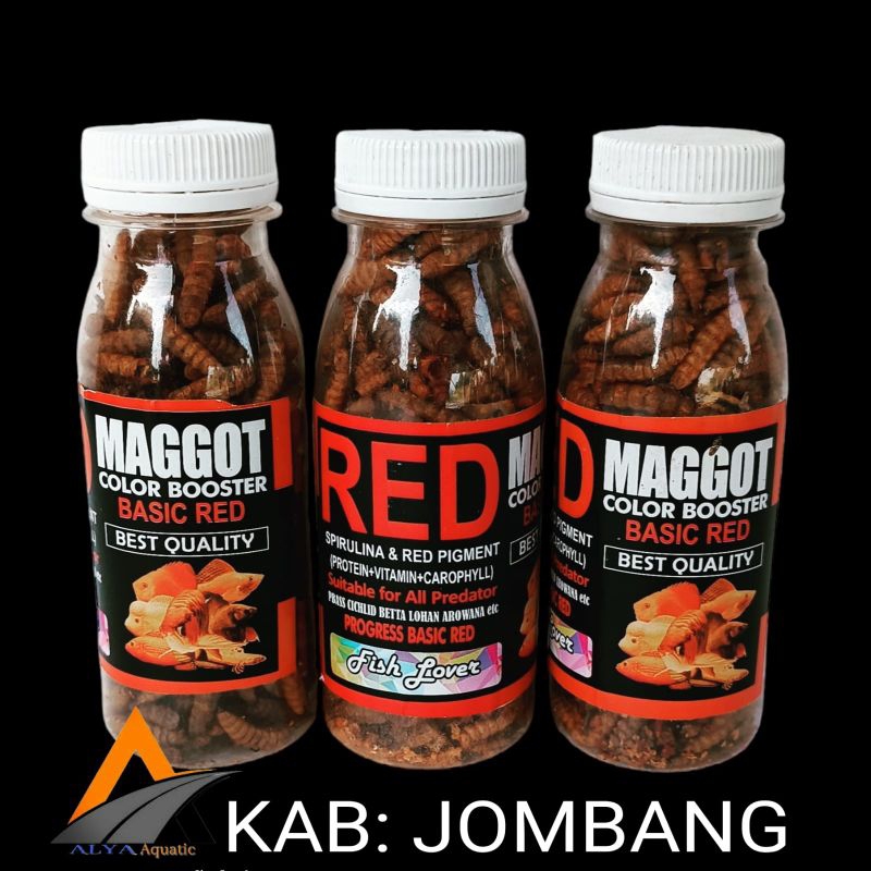 RED MAGGOT COLOUR BOOSTER/MAGGOT FISH LOVERS BOTOLAN 15 GRAM pakan ikan chana dan predator lainnya p