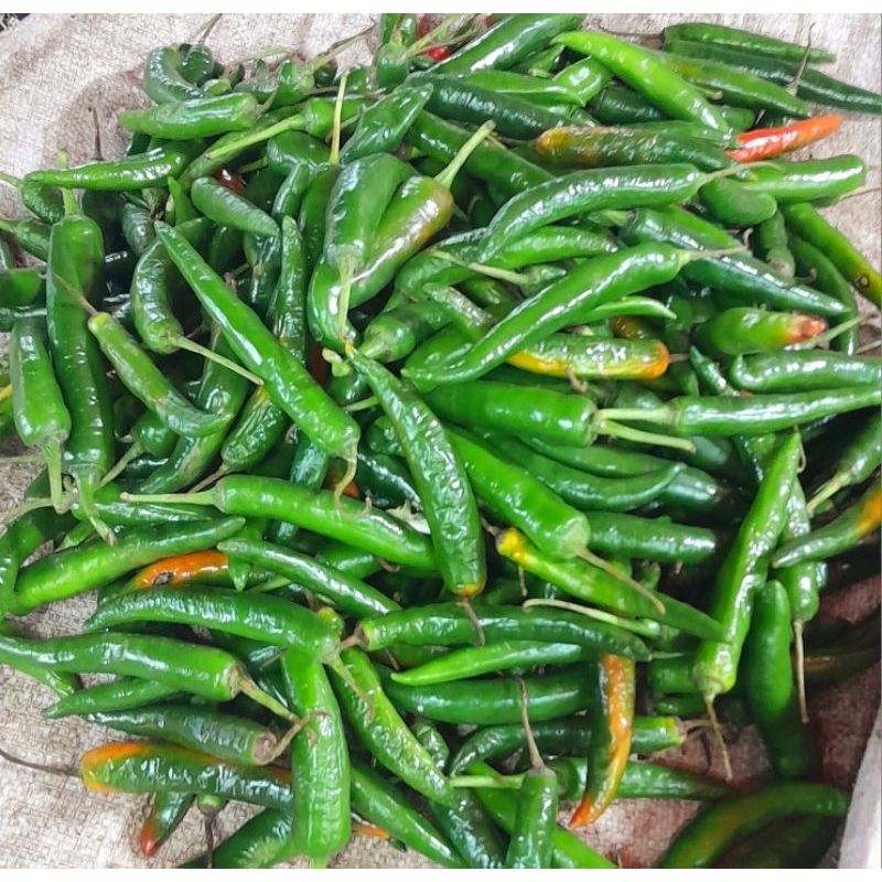 

Cabe keriting hijau 250gr