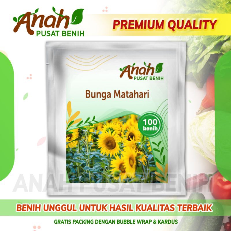 100 Biji Benih  Bunga Matahari / biji bunga matahari / Bibit bunga