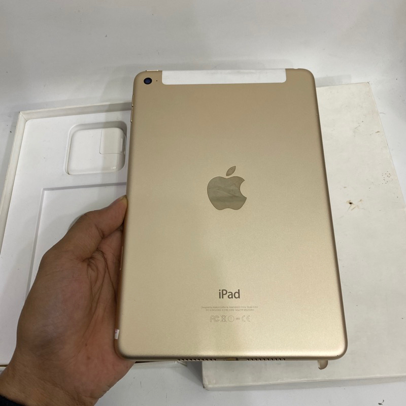 iPad mini 4 Resmi iBox