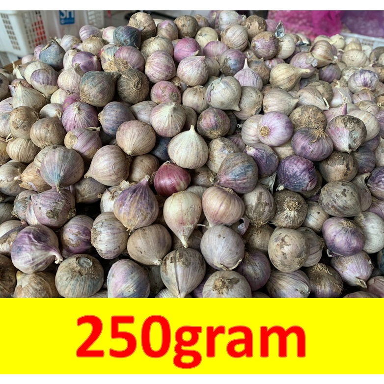 

Bawang Putih Tunggal Asli 250 Gram