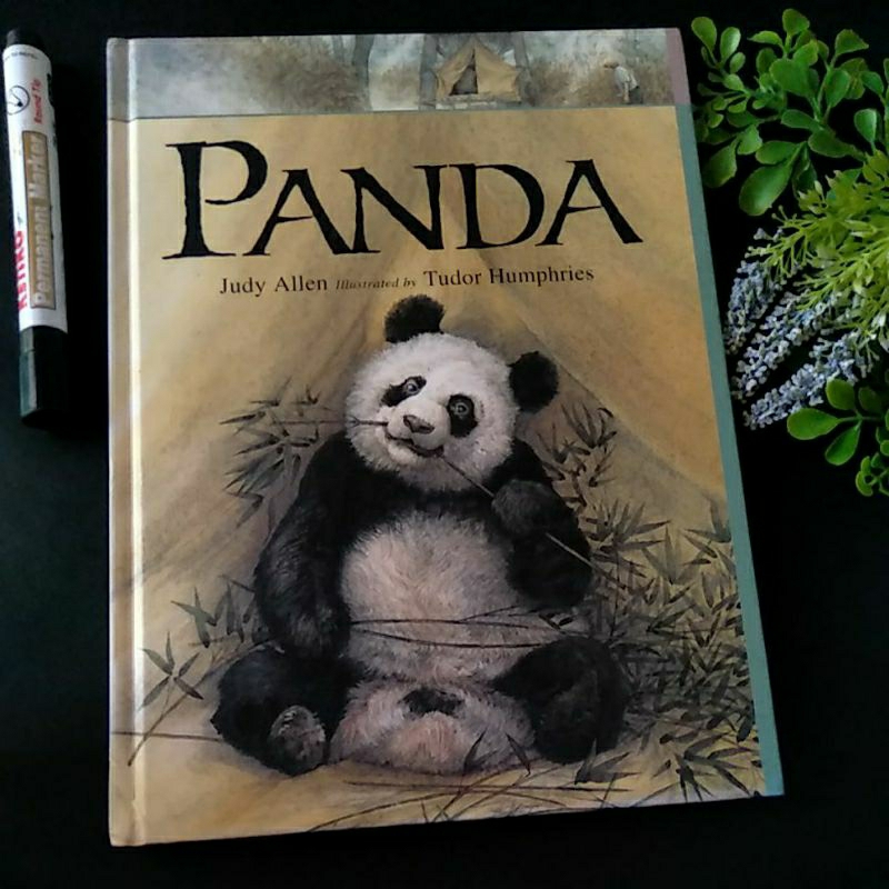 Buku anak bahasa inggris Panda preloved by judy Allen