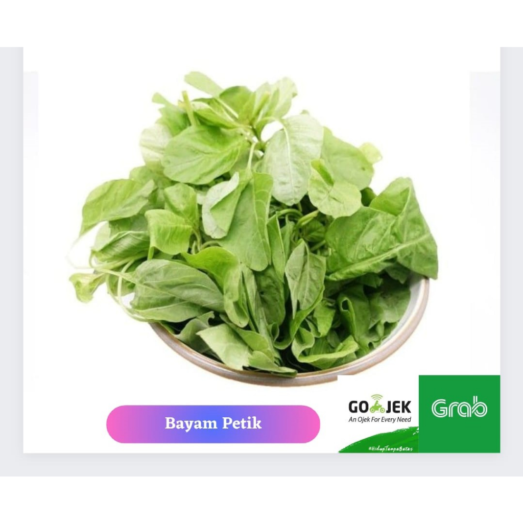 

Bayam Petik Segar