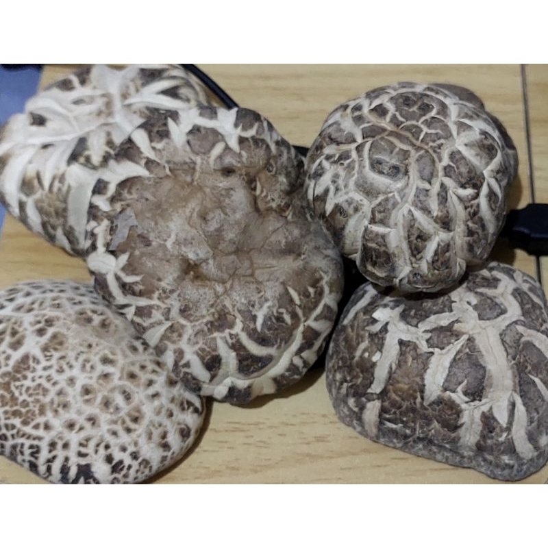 

Jamur shitake kering grade /100 gram