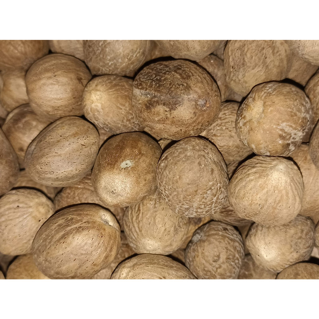 

BIJI PALA BULAT PILIHAN 1 KG