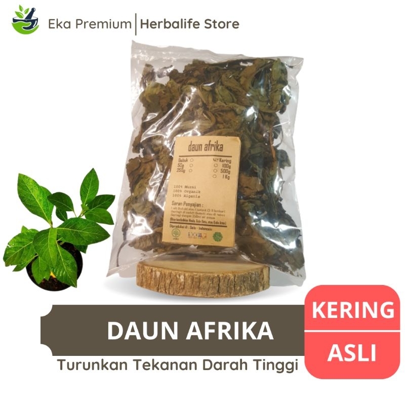 

DAUN AFRIKA KERING Ramuan Rempah Obat Herbal Jamu Minuman Tradisional Asli
