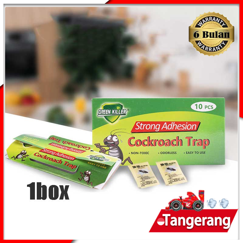 10pcs/box Jebakan Perangkap Cockroach Trap 1 Box Lem Perangkap Kecoa Cicak Bukan HoyHoy