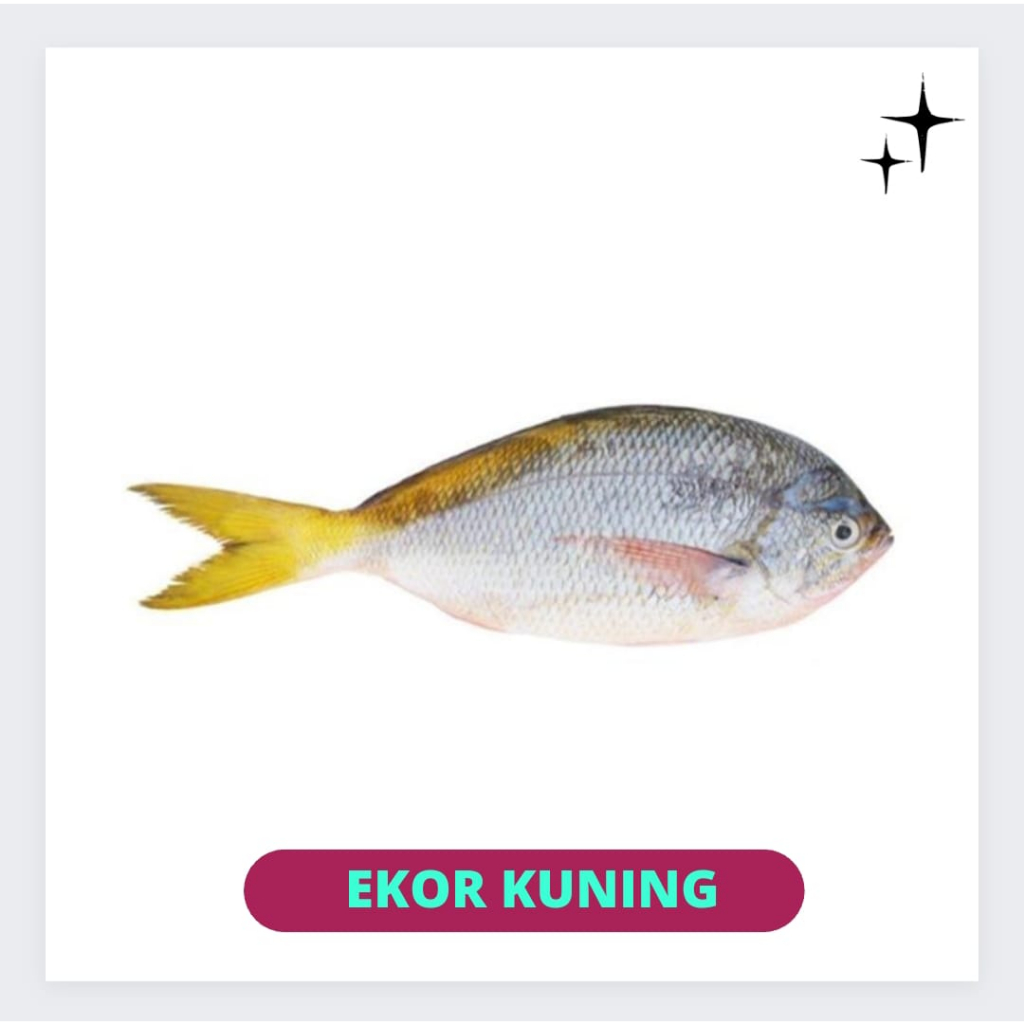 

Ikan Ekor Kuning Segar 500gr