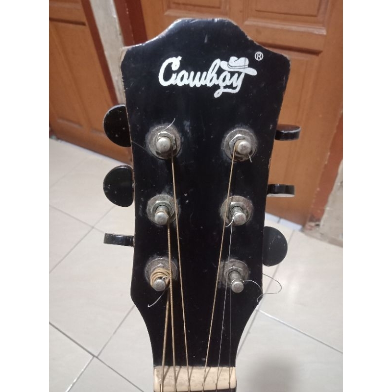 cowboy akustik elektrik gwc 235 ns