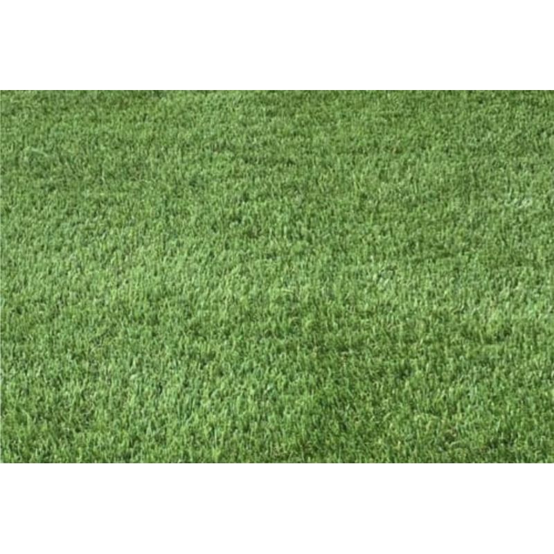 Rumput Artifisial 35mm/Rumput Sintetis/Karpet Rumput 1x3M ARTHOME