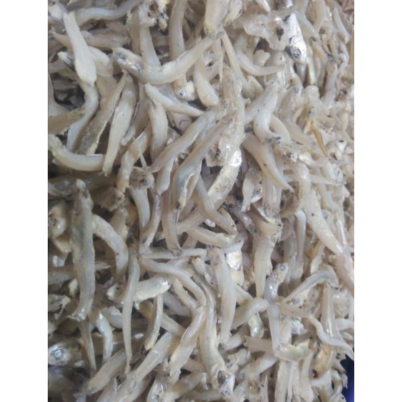 

ikan asin teri bunjau ikan teri empuk kualitas super harga murah