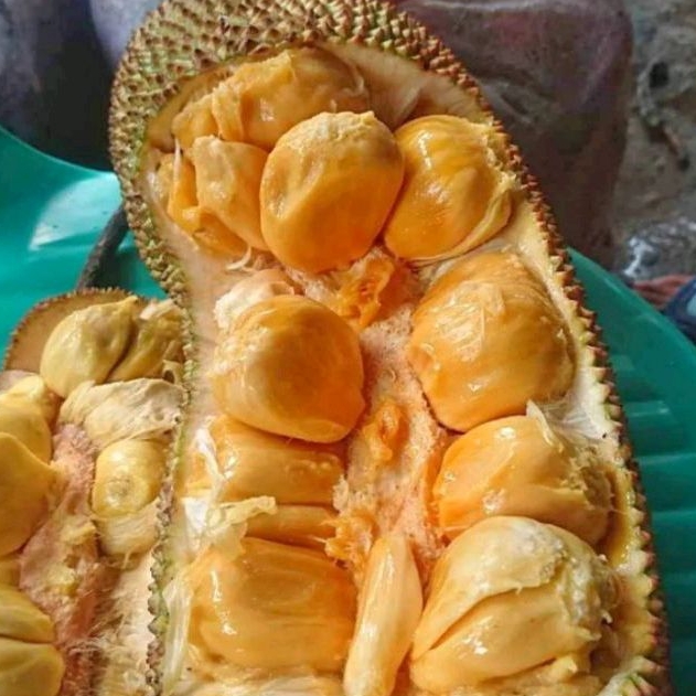 

CEMPEDAK MANIS SATU BUAH