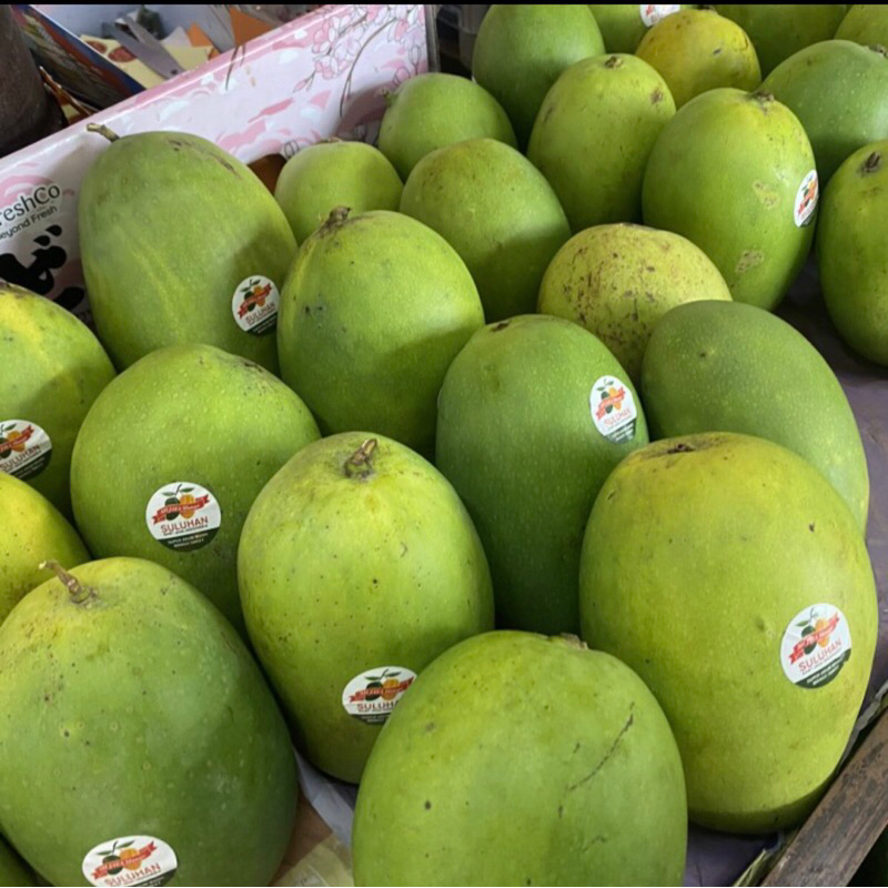 

Mangga Harumanis Suluhan Masak Pohon 1 Kg