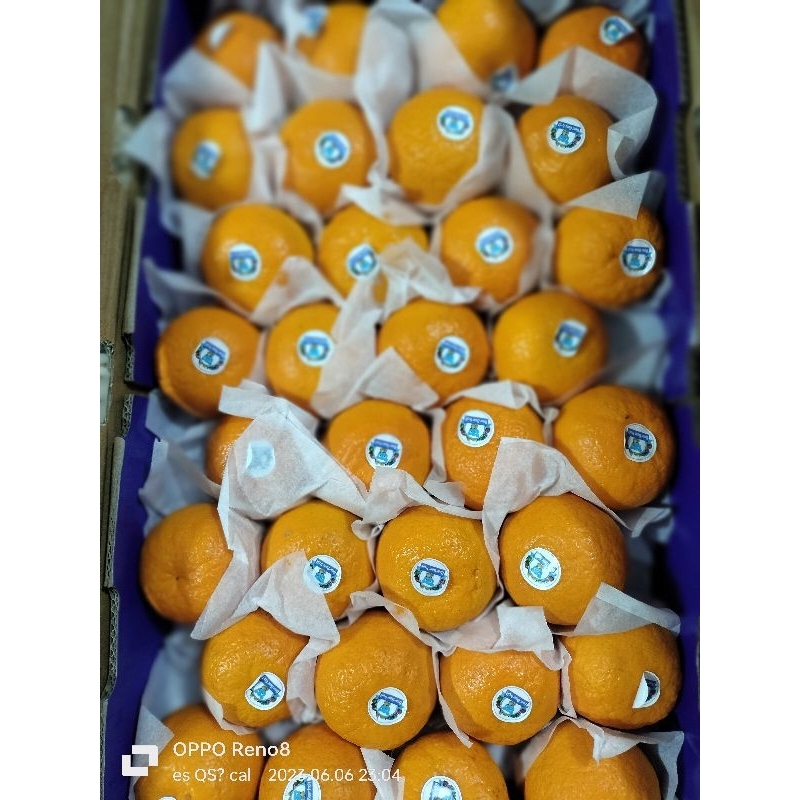 

JERUK WOGAM 1KG MANIS