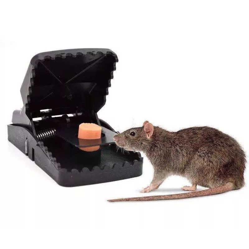 Mouse Trap - Alat Jebakan Perangkap Tikus - Jebakan Tikus