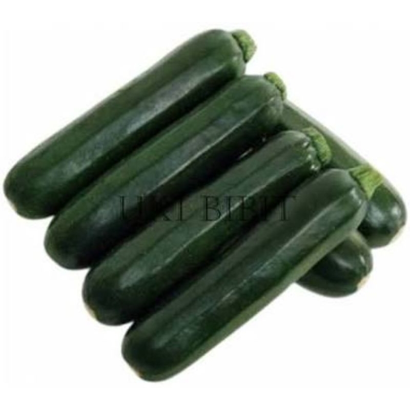 

Zuchini / Zucini / Cukini 500gr
