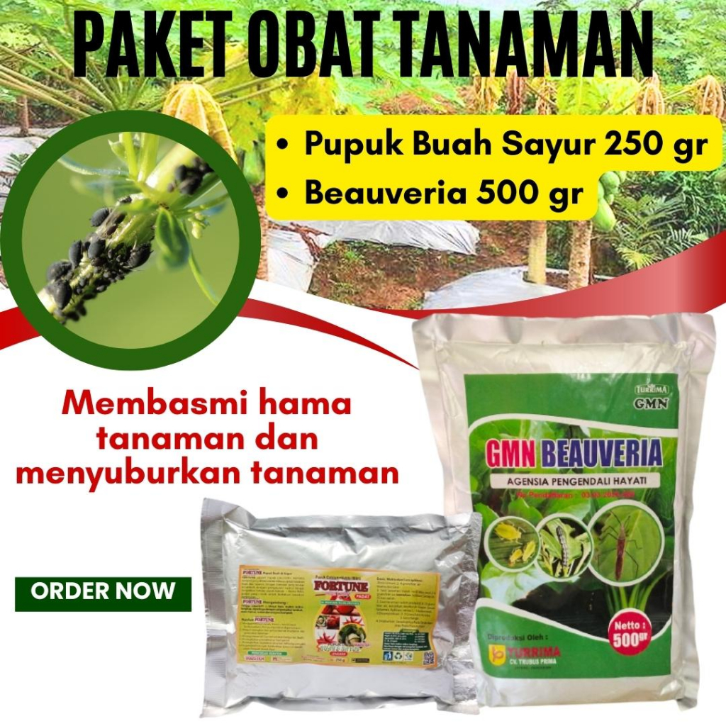 Pupuk Perangsang Buah Pepaya, Obat Pembasmi Tungau Pada Tanaman Pepaya
