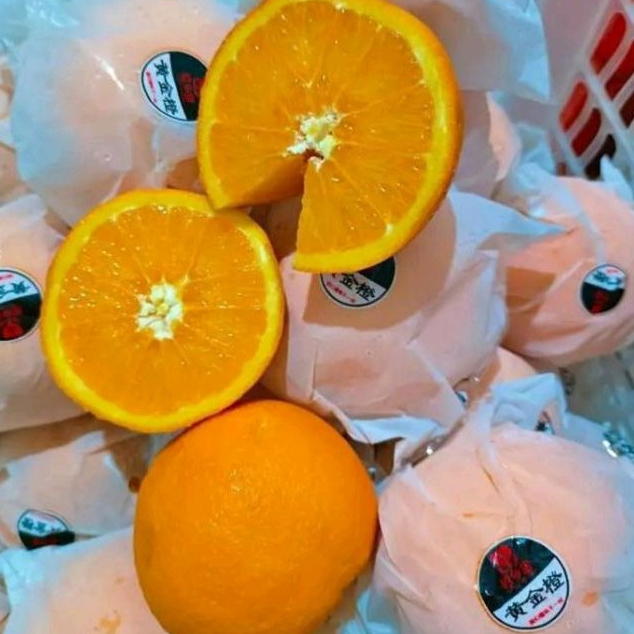 

JERUK SUNKIST FRESH IMPORT