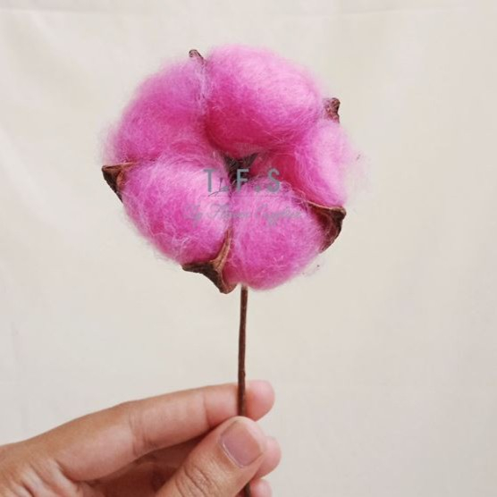 Cotton Dried Flower Artificial - Bunga Kapas Kering (1pc)