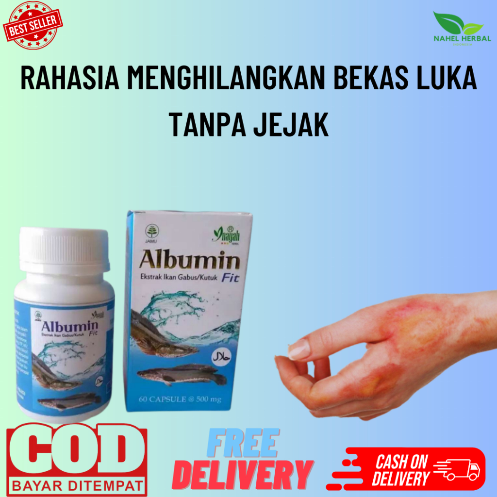 Gratis Ongkir & Cod - Super Premium 60 Kapsul Asli 100% Original Ekstrak Albumin Ikan Gabus - Obat H