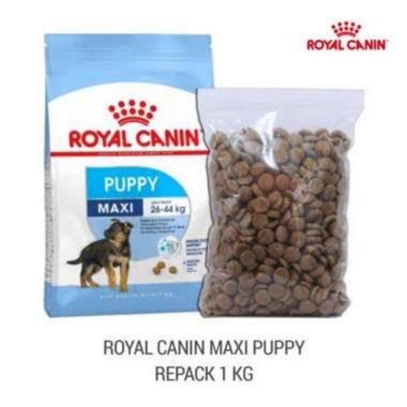 Makanan anjing royal canin maxi puppy 1kg