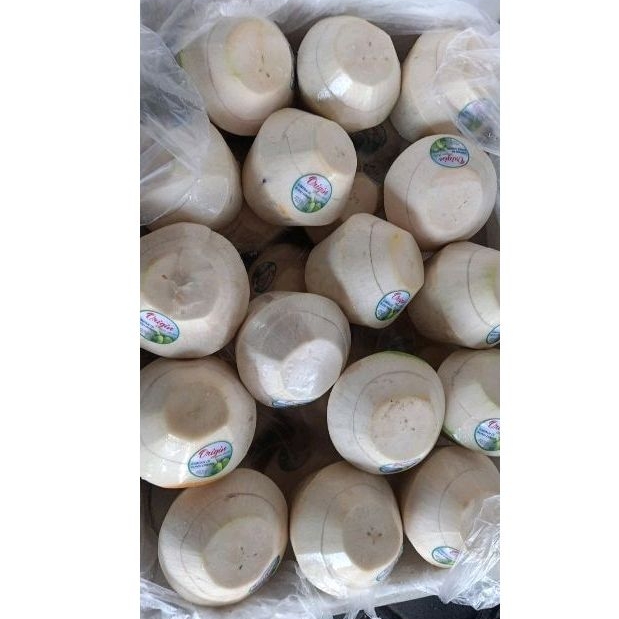

DEGAN JELLY BESAR