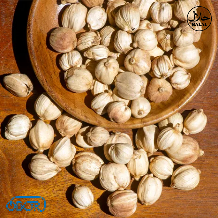 

Kapulaga Putih Import kering 100 gr Kemasan Vakum 白豆蔻 - OBOR FOOD