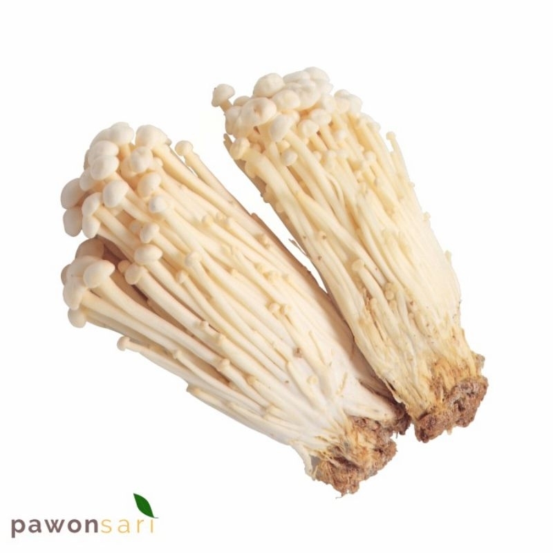 

jamur enoki