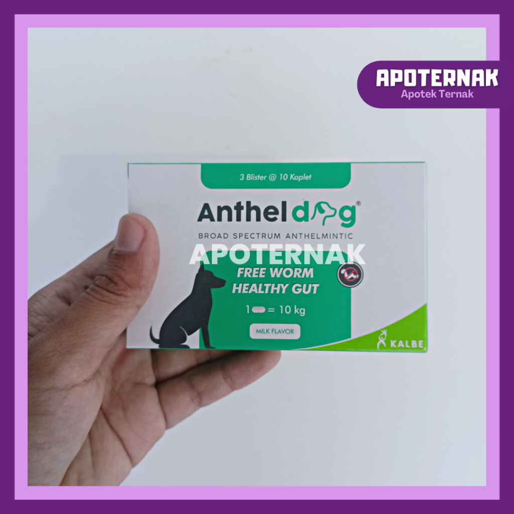 ANTHEL DOG Ecer 1 Tablet (Blister) Obat Cacing Spektrum Luas Untuk ANJING by Kalbe | Harga 1 Tablet Blister