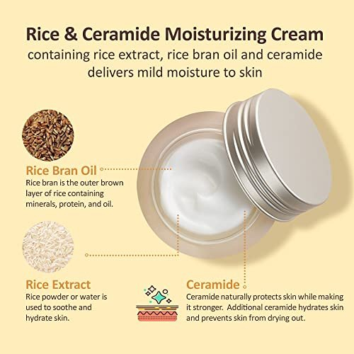 THEFACESHOP - Rice Ceramide Moisturizing Cream 50 ml