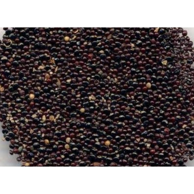 

[50gram] Qing Xiang Zi / Celosia Seeds / semen Celosiae Argentae Premium