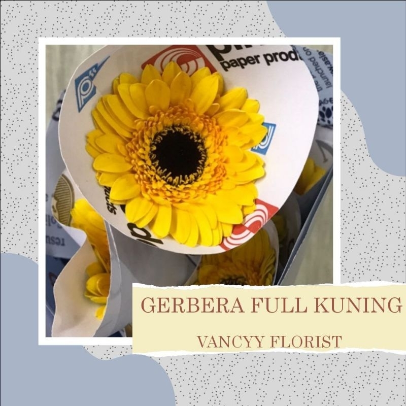 Bunga Gerbera Kuning Potong Fresh Pertangkai / Bunga Potong Fresh / Bunga Gerbera Kuning Fresh Vancy