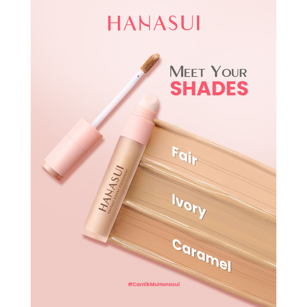 HANASUI Perfect Cover Concealer - 4.5gr