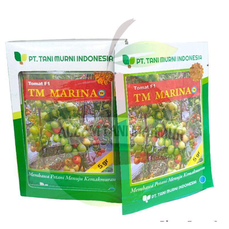 Benih Tomat TM MARINA F1 Isi 5 Gram TANI MURNI