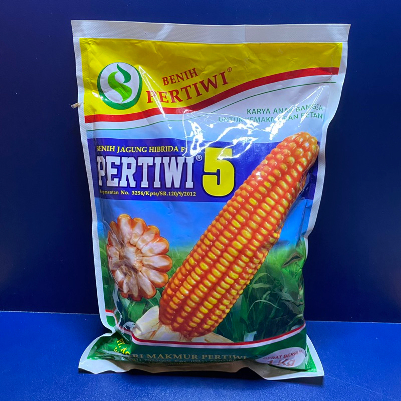 Benih jagung hibrida f1 pertiwi 5