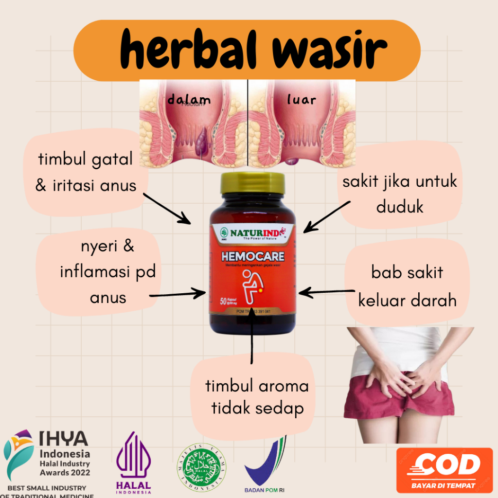 obat Wasir / Ambeien paling ampuh tanpa operasi Hemocare