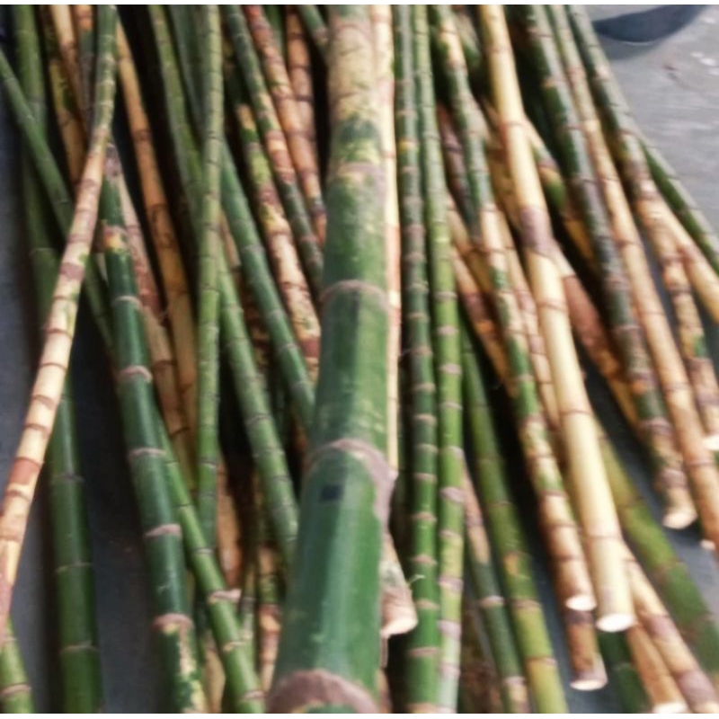 Batang Waregu Joran Pancing