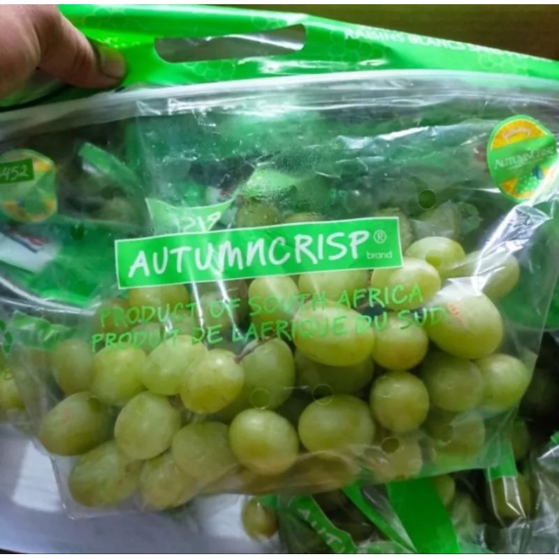 Anggur Green Autumn Crispy Australia 1kg