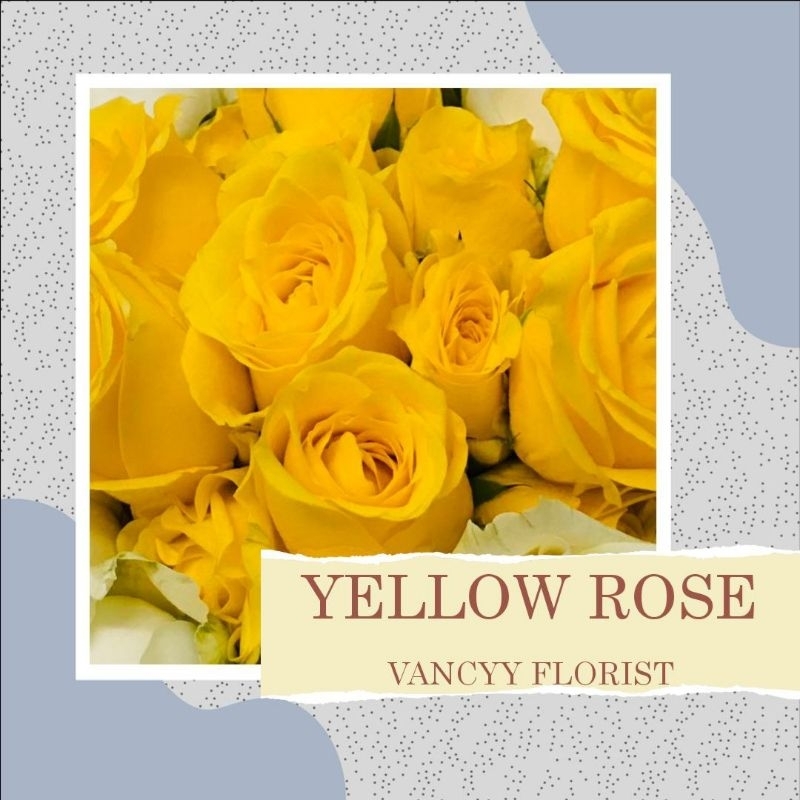 Bunga Mawar Fresh / Bunga Mawar Kuning / Bunga Fresh Potong / Bunga Potong / Bunga Segar / Bunga Van