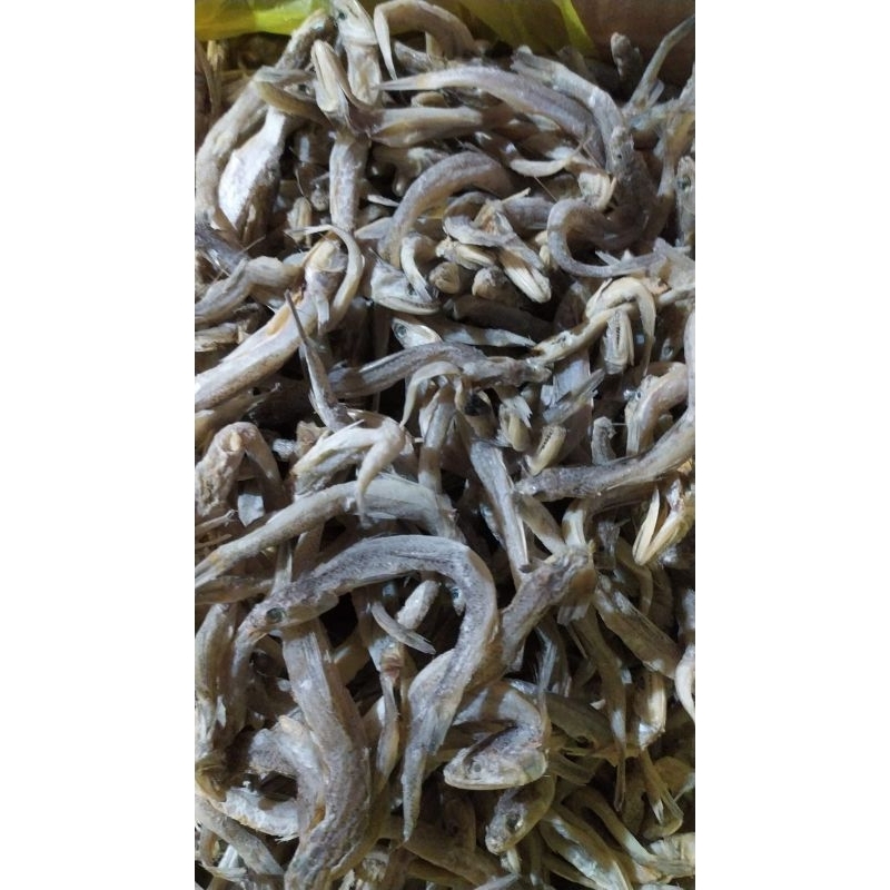 

Ikan Kacangan / Teri Kacangan Kualitas Super