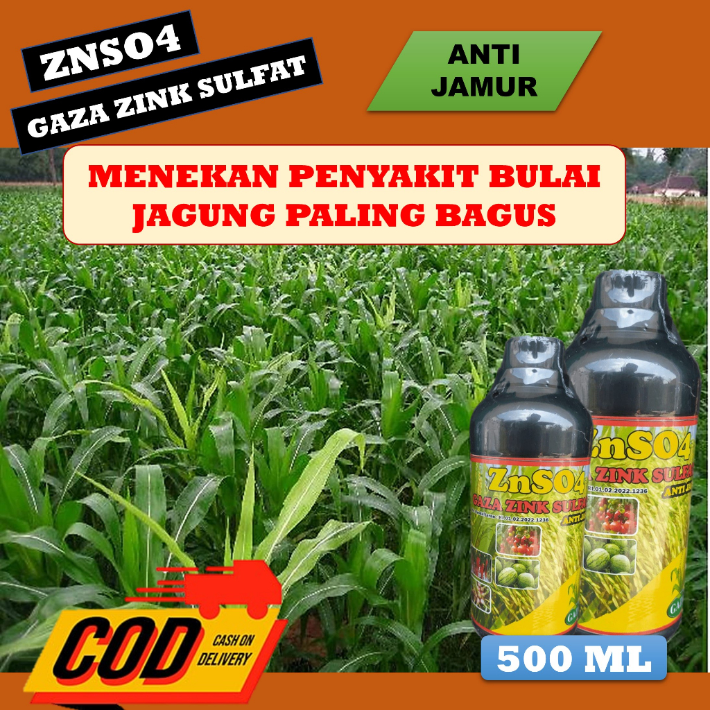 (TERMURAH) Obat semprot menekan penyakit bulai jagung paling ampuh - Pupuk fungisida untuk mengatasi