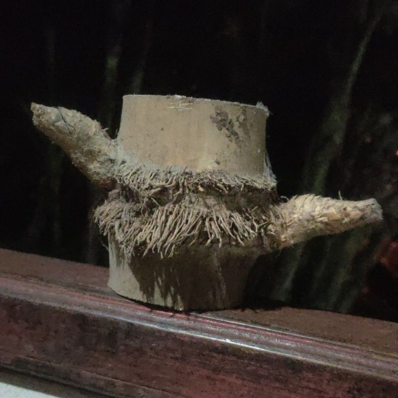 bambu petuk patil lele