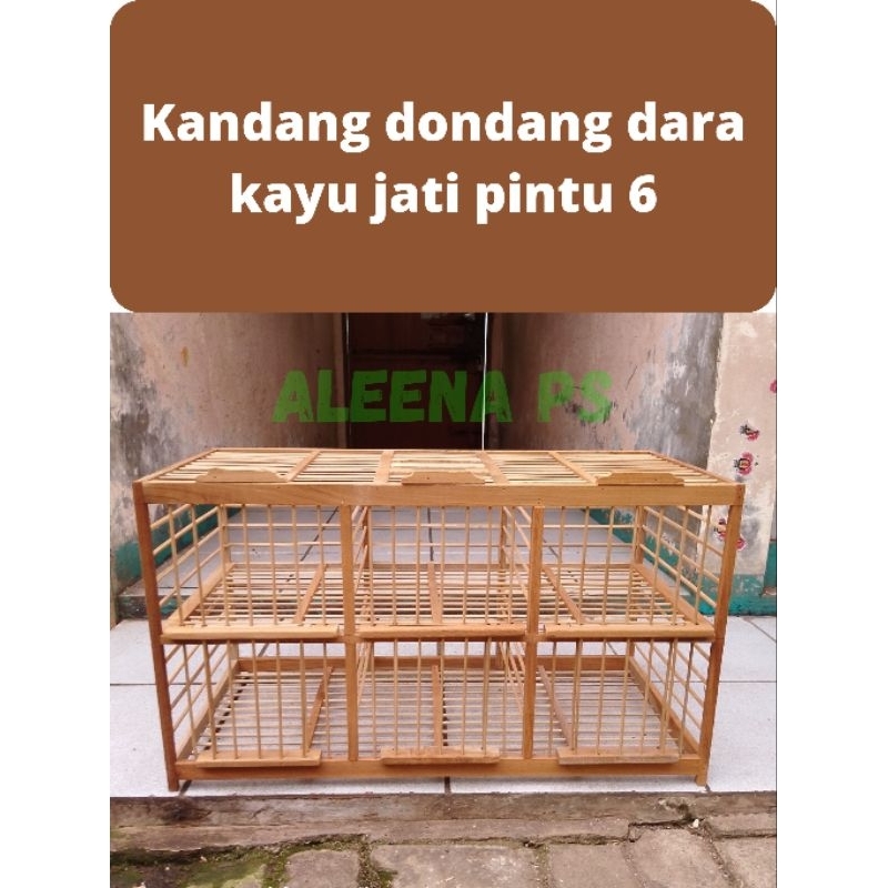 sangkar kandang dondang burung dara merpati kayu jati pintu 6