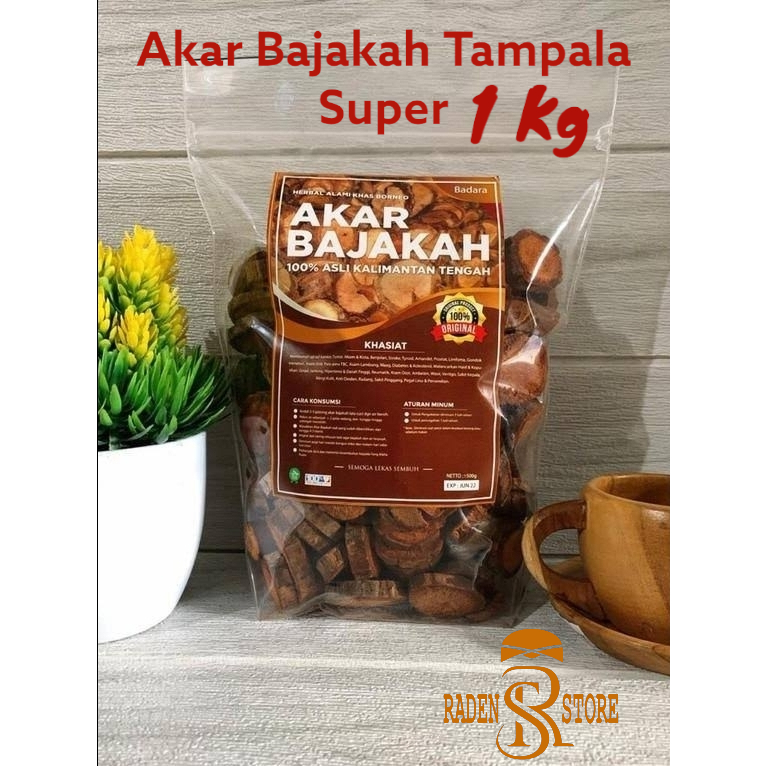 

Akar Bajakah Tampala Super 1 Kg Asli Kalimantan