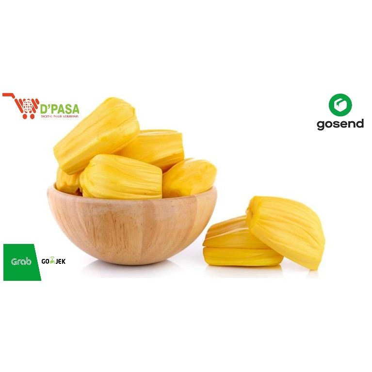 

Nangka Kupas Buah Segar 500gr Buah Manisan Fresh DPASA Padang